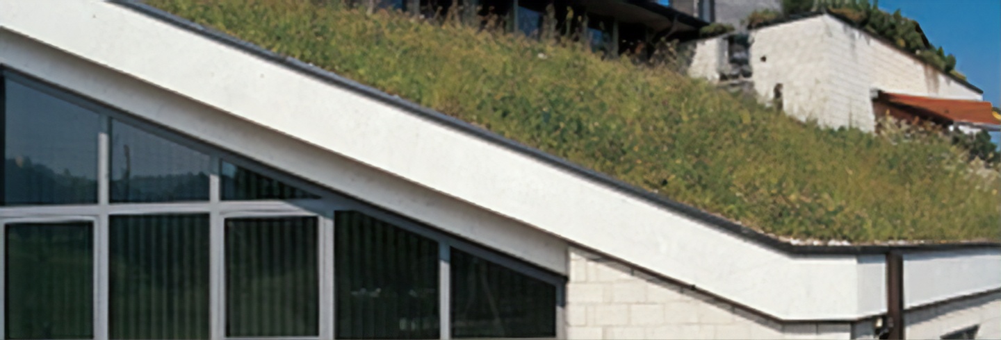 Sustainable Vinyl Roof