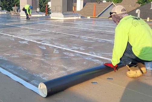 Project_Profiles_Park_on_Main_Project